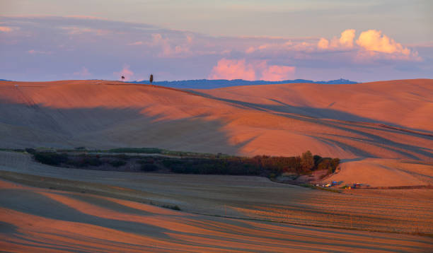 istock Rural landscape. Beautifully illuminated farmlands. 1705915373