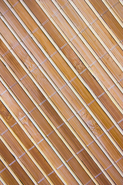 istock background of dry stems 170592451