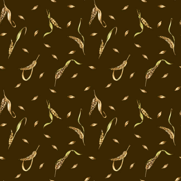 黒い背景に小麦の耳、大麦の水彩のシームレスなパターン。ライ麦の小穂、麦芽の茎の手描き。繊維、包装、包装、ラベル食料品、ベーカリー、紙のデザインエレメント - barley black stem wheat点のイラスト素材／クリップアート素材／マンガ素材／アイコン素材