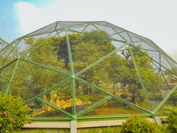 istock a breeding ground for birds in the bird park 1705933950