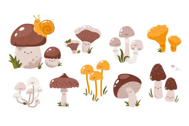 Vector illustration of Set of vector cute forest mushroom characters isolated on white background