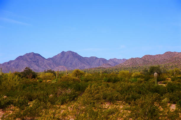 istock San Tan Mountains Sonora Desert Arizona On Film 1705982921