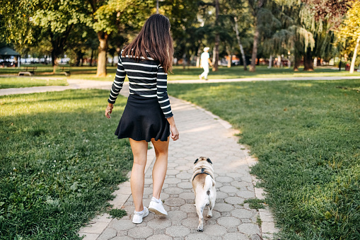 Young adult enjoying with dog in public park