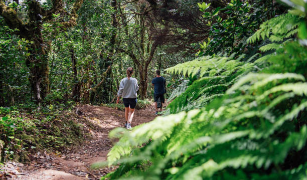 istock View from behind of some hikers on a path through the green forest 1706007139