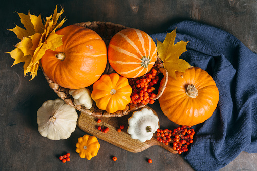 Autumn composition for Thanksgiving Day, still life background. Pumpkin harvest in basket, vegetables, patisson, autumn leaves, red berries on wooden table. Fall decoration design. Top view, flat lay