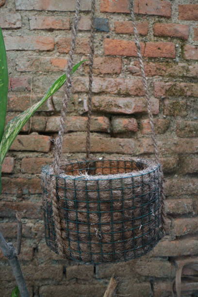 istock hanging pots against the background of an old brick wall 1706013059