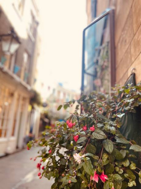 istock Rose Quarter Cambridge Street Uk 1706032530