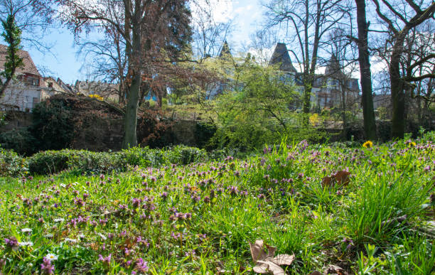 istock Park near the castle in spring time. 1706033051