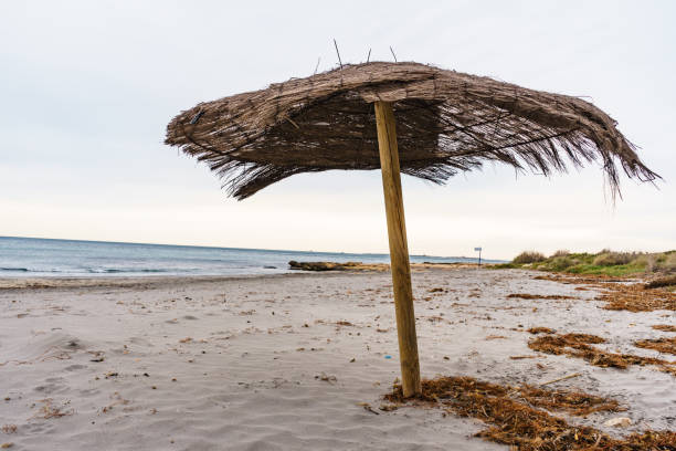 istock Shelter on beach. Cloudy weather 1706033584