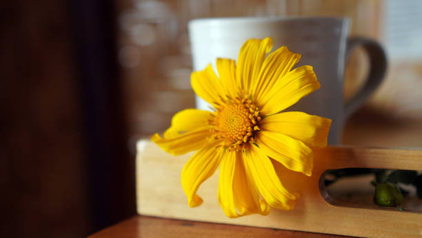 istock Morning coffee or tea with fresh yellow flower on the table. 1706034563