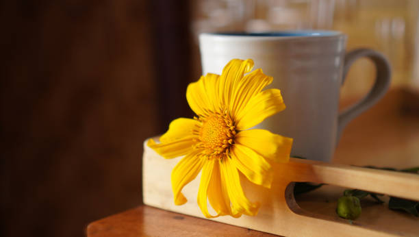 istock Morning coffee or tea with fresh yellow flower on the table. 1706034790