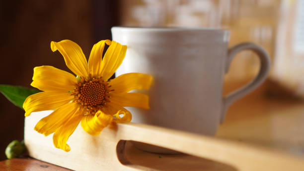 istock Morning coffee or tea with fresh yellow flower on the table. 1706034885
