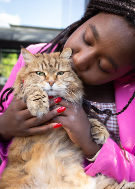 istock Pretty young Woman Embracing Lovely Cat 1706042471