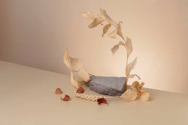 a stone podium with autumn leaves to demonstrate cosmetics diagonally. Beige background for branding and packaging presentation stock photo