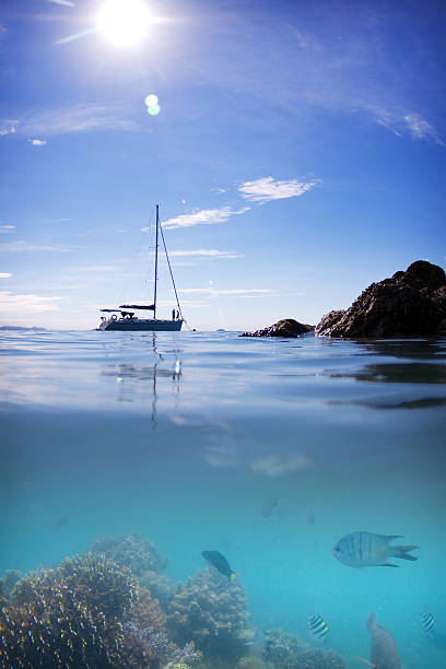 Split under and over water photograph of a coral feef fish, anchored boat, sun, blue ocean and sky near a Whitsunday Island.