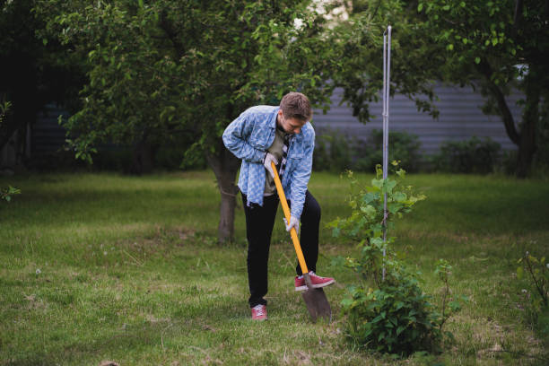 istock male gardener digging dirt using yellow shovel 1706076918