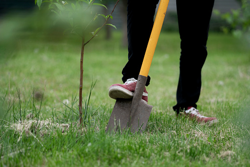 male gardener digging dirt using yellow shovel