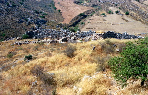 view of stone wall and dry vegetation