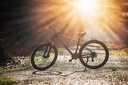 A mountain bike backlit with warm sunlight in the New Forest, Hampshire in England, UK