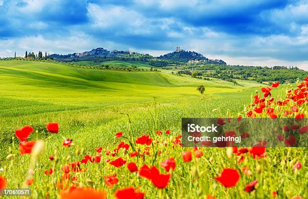 典型的なトスカーナの風景 - 自然の景観のストックフォトや画像を多数ご用意 - 自然の景観, ケシ, 風景