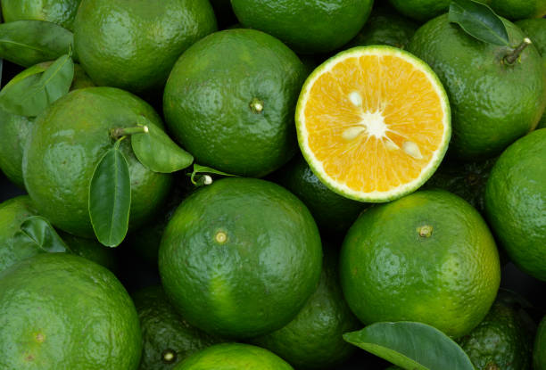 istock Many green oranges with green leaves as background. 1706106248