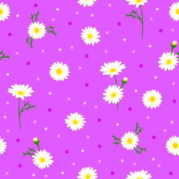 illustrations, cliparts, dessins animés et icônes de imprimé floral violet. ditsy daisy motif sans couture. fleur botanique lilas avec fond à pois. - spotted natural pattern herb flower