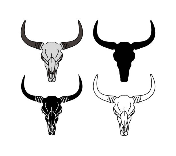 Steer Head Skull Shirt Cow Bull Horn Western Tribal Boho Tee Steer Head Skull Shirt Cow Bull Horn Western Tribal Boho Tee
