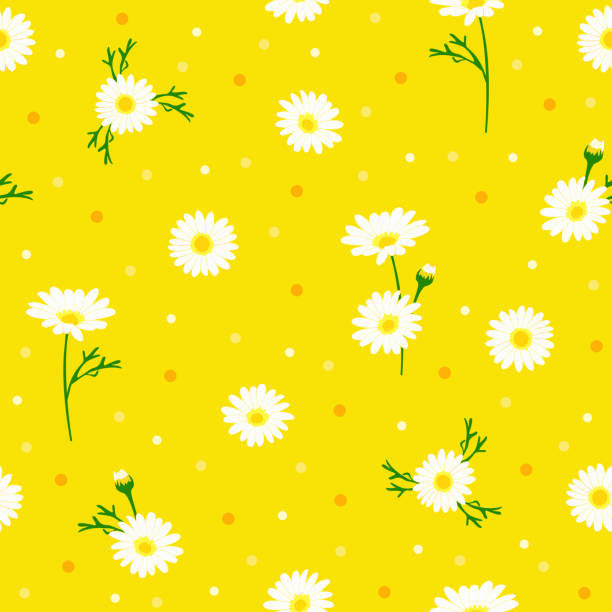 illustrations, cliparts, dessins animés et icônes de ditsy floral print. ditsy fleur de marguerite motif sans couture. fleur botanique à pois jaunes sur fond de pois. - spotted natural pattern herb flower