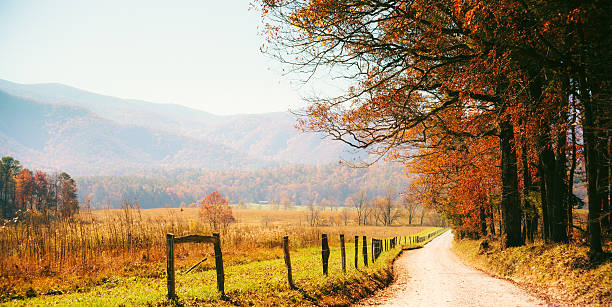 осенний сельская дорога в лесу - gatlinburg road winding road tennessee стоковые фото и изображения