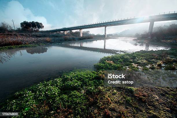 Утро Мост — стоковые фотографии и другие картинки Берег реки - Берег реки, Болото, Вода