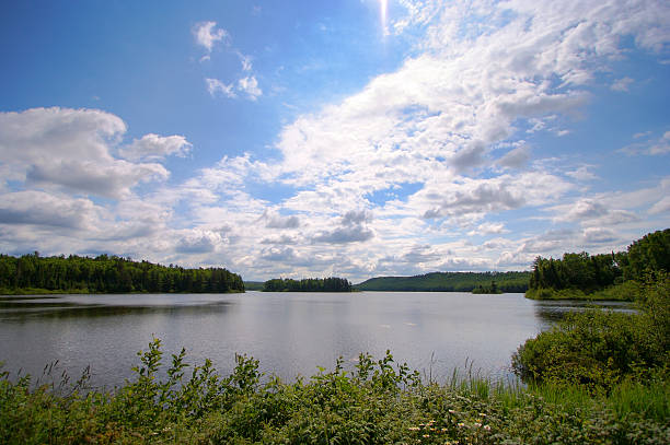 istock Lake with a forest shoreline on a partly cloudy day 170614883