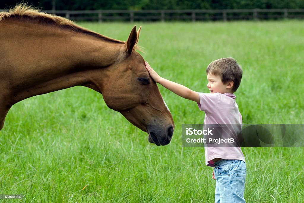 Молодой мальчик контактном Нежные лошадь - Стоковые фото Лошадь роялти-фри