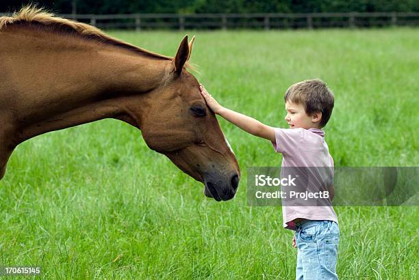 Молодой Мальчик Контактном Нежные Лошадь — стоковые фотографии и другие картинки Лошадь - Лошадь, Гладить рукой, Ребёнок