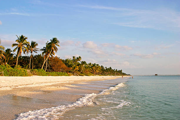 View along Naples beach from the Sea, lush greenery & sand stock photo