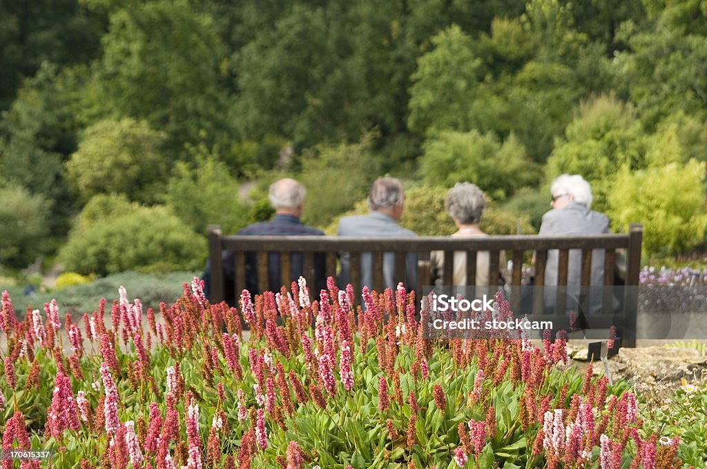 Cidadãos seniores no banco de parque - Foto de stock de Adulto royalty-free