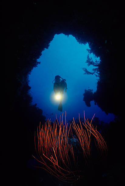 grotte sous-marine plongée à la découverte de - deep sea diving photos et images de collection