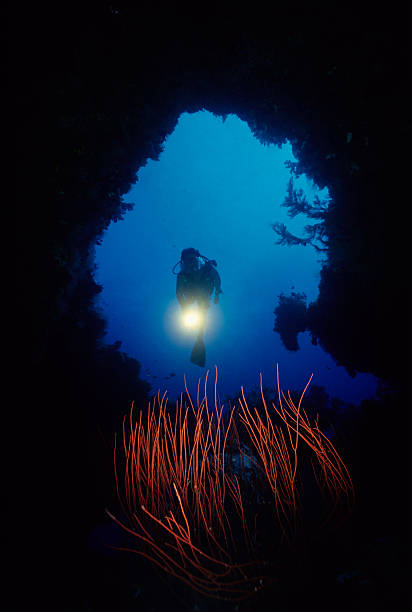 Diver Exploring Underwater  Cave stock photo