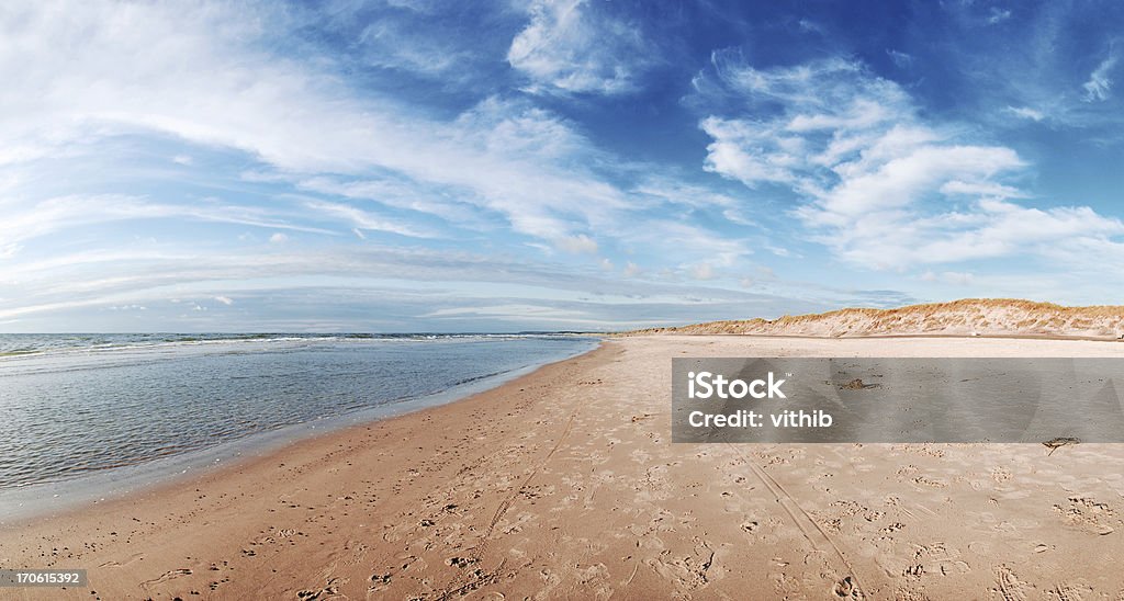 Panorama de dinamarquês praia com céu azul e nuvens almofadadas - Foto de stock de Areia royalty-free