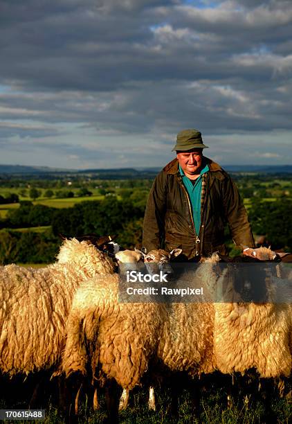 Agricoltore - Fotografie stock e altre immagini di Agricoltore - Agricoltore, Imbrancare, Animale