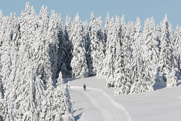 Ski runner