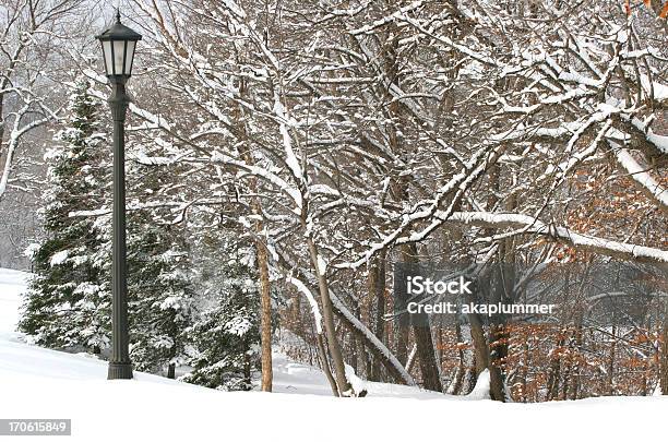 Zimowe Scena Z Lamppost - zdjęcia stockowe i więcej obrazów Biały - Biały, Cztery pory roku, Drzewo