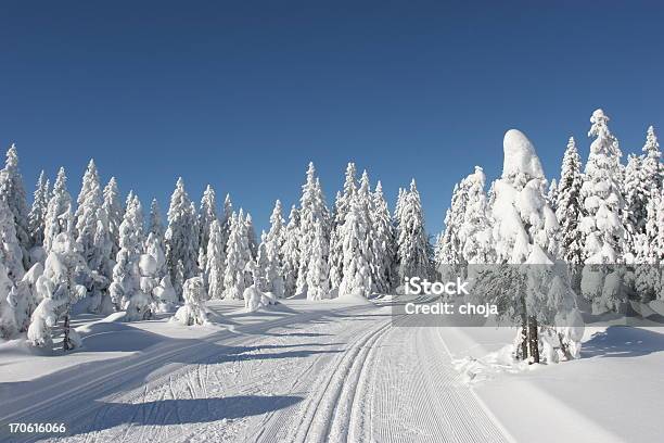 Sci Runner Su Un Bellissimo Inverno Dayrogla Slovenia - Fotografie stock e altre immagini di Attività ricreativa