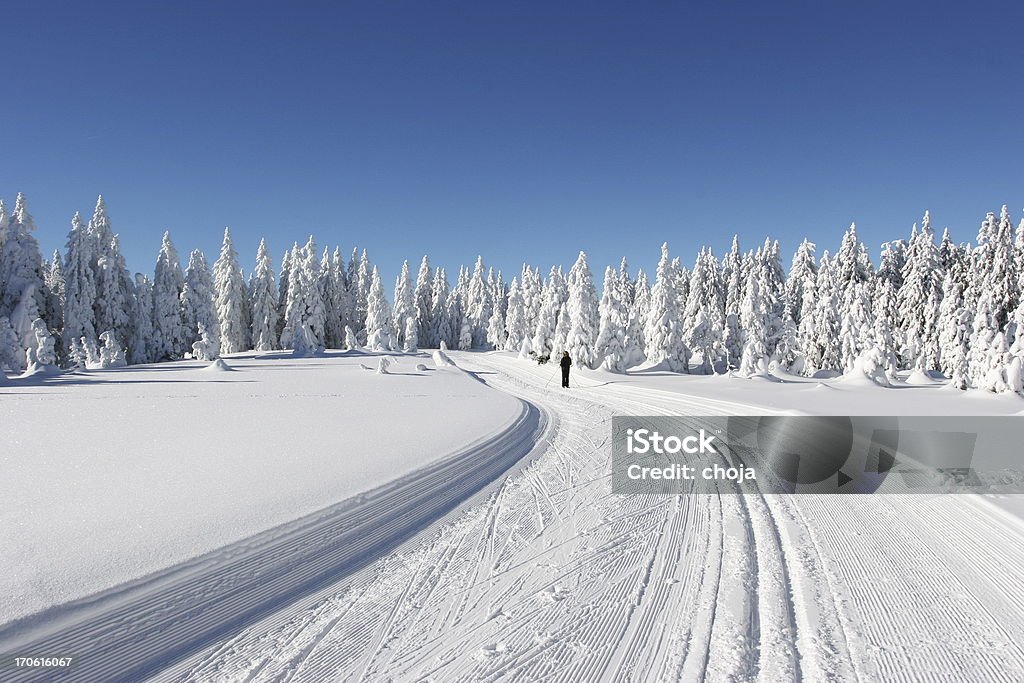 Corredor de esqui de inverno em um belo day.Rogla, Eslovênia - Foto de stock de Atividade Recreativa royalty-free