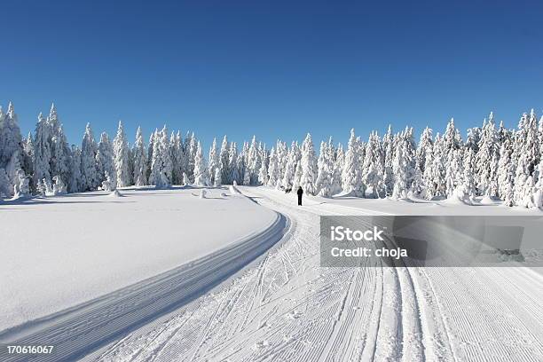 Foto de Corredor De Esqui De Inverno Em Um Belo Dayrogla Eslovênia e mais fotos de stock de Atividade Recreativa