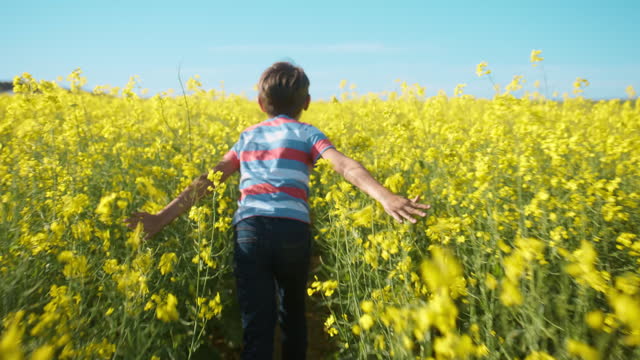 Child, running and flowers in nature, field or freedom in countryside, farm or rural landscape. Kid, run and walking in summer or spring environment bloom with green and yellow daisies or plants