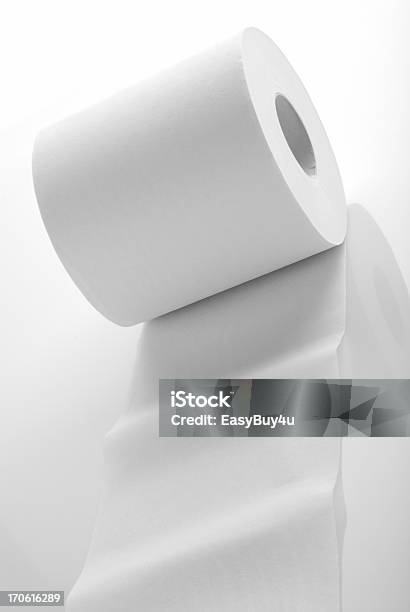 Papel Higiénico Foto de stock y más banco de imágenes de Incontinencia - Incontinencia, Baños públicos, Papel