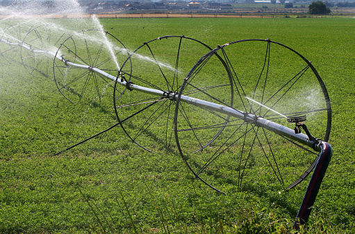 A shot of an irrigation system in the process of watering a crop in a green farm field.