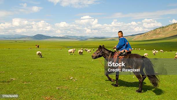 Mongolia - Fotografie stock e altre immagini di Mongolia - Mongolia, Cultura nomade, Cavallo - Equino