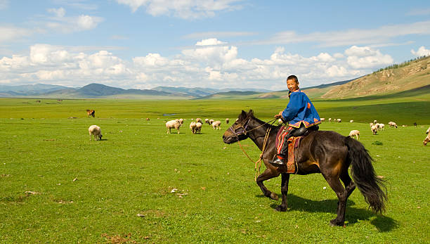 Mongolia Mongolian boy herding his flock of sheep/goats. mongolian ethnicity stock pictures, royalty-free photos & images
