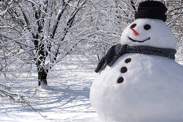 Perfect Snowman at Home stock photo